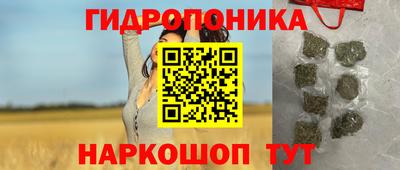 дмт Камышлов