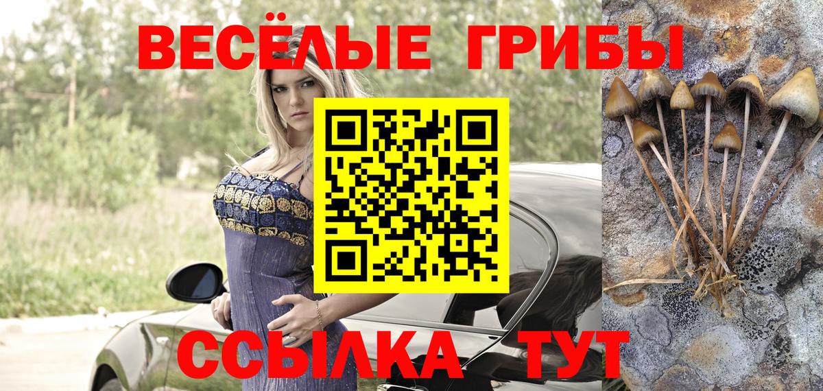 Корсаков  Псилоцибиновые грибы MAGIC MUSHROOMS  дарнет шоп  Вход с VPN  Псилоцибиновые грибы Cubensis 