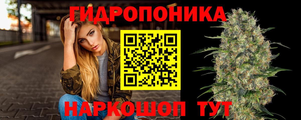 Корсаков  Конопля семена  Вход с VPN  МАРИХУАНА OG Kush 